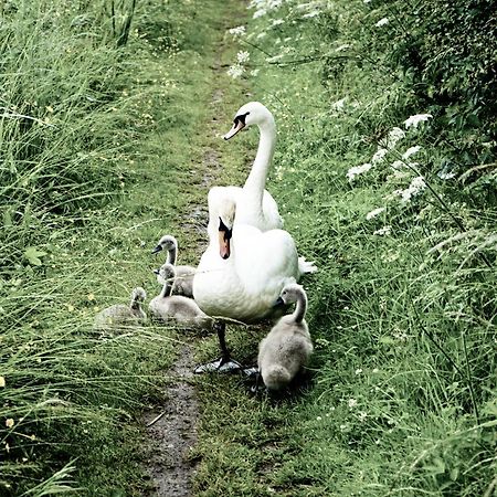 Duck Terrace With Gym Duckling Stays Kibworth Harcourt Bagian luar foto