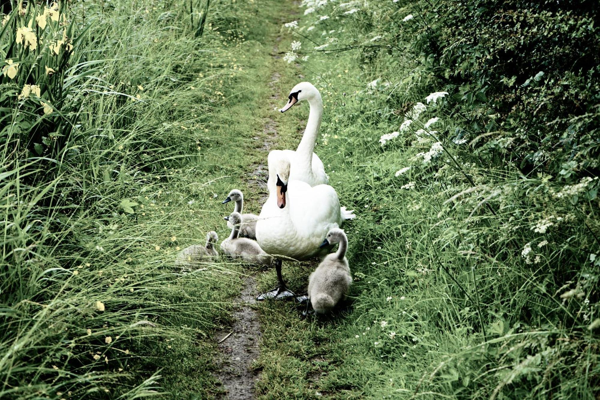 Duck Terrace With Gym Duckling Stays Kibworth Harcourt Bagian luar foto